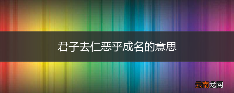 君子去仁恶乎成名的意思