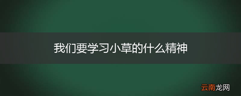 我们要学习小草的什么精神