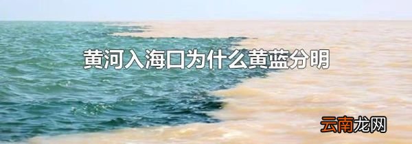 黄河入海口为什么黄蓝分明