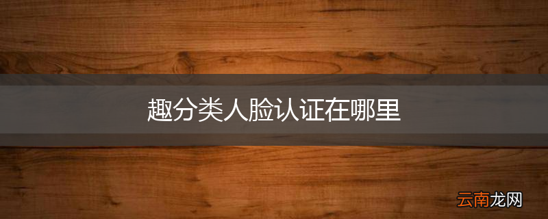 趣分类人脸认证在哪里