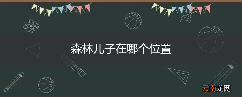 森林儿子在哪个位置
