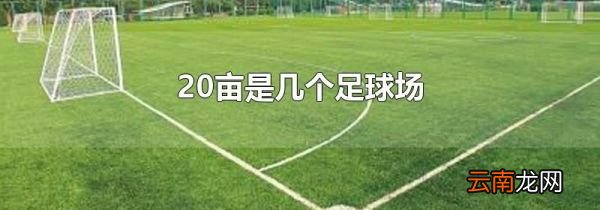 20亩是几个足球场