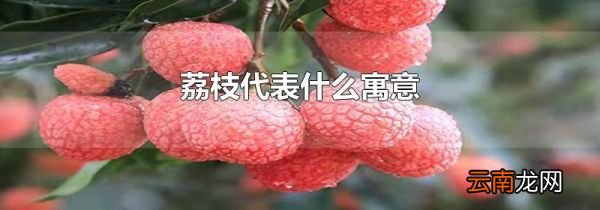 荔枝代表什么寓意