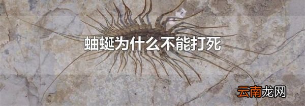 蚰蜒为什么不能打死