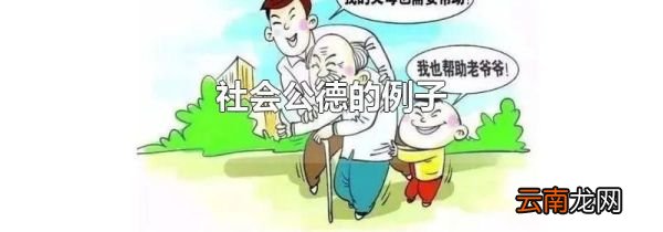 社会公德的例子