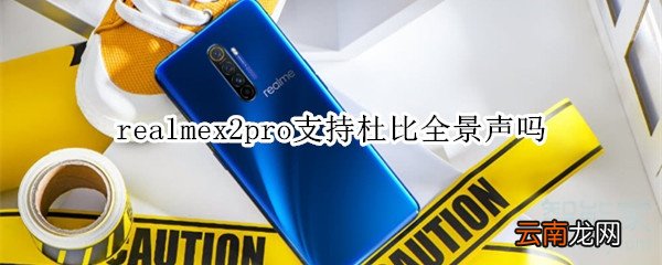 realmex2pro支持杜比全景声吗