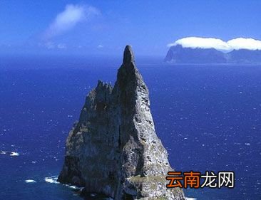 “太平洋之盾”是指什么？
