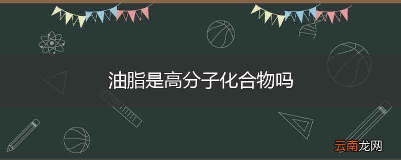 油脂是高分子化合物吗