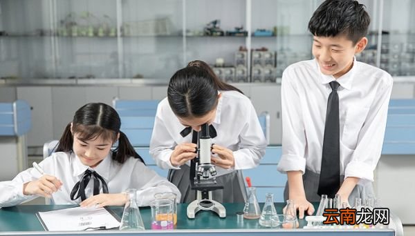酚与氢氧化钠反应 苯酚与氢氧化钠反应的化学方程式
