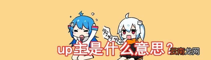 up主是什么意思？