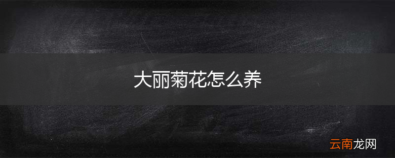 大丽菊花怎么养