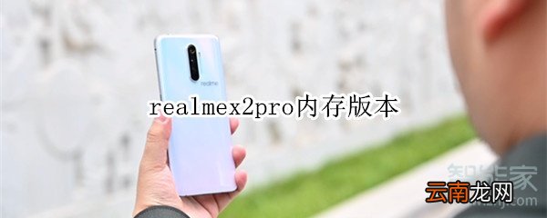 realmex2pro内存版本