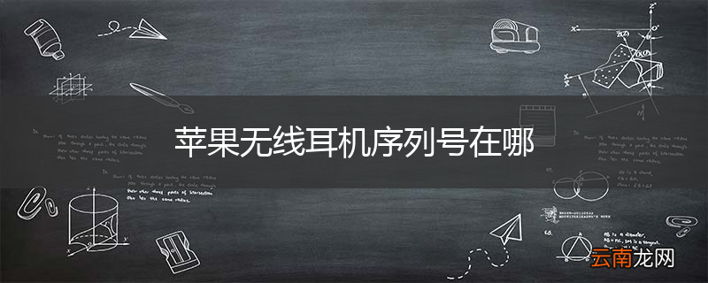 苹果无线耳机序列号在哪