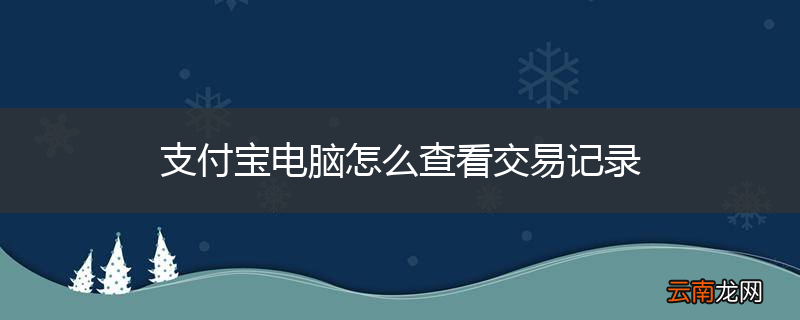 支付宝电脑怎么查看交易记录