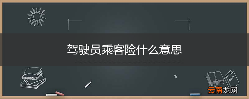 驾驶员乘客险什么意思