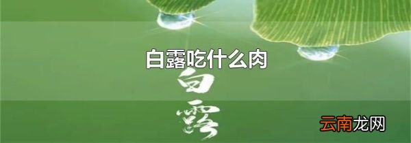 白露吃什么肉