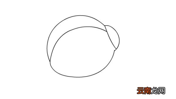 瓢虫简笔画 瓢虫如何画