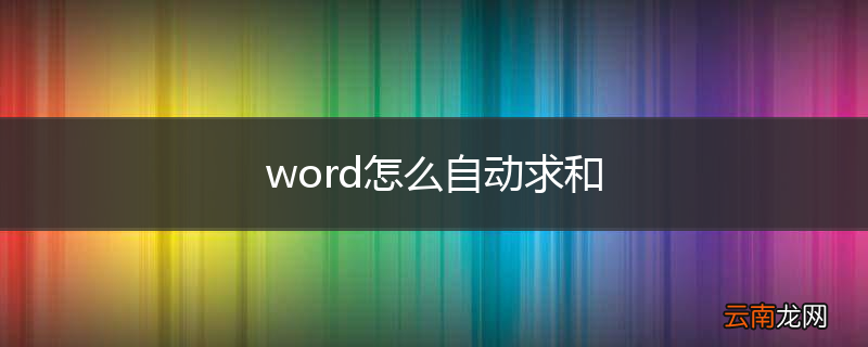 word怎么自动求和