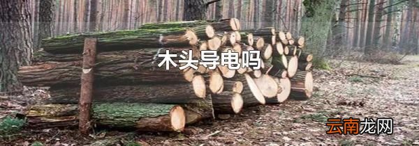木头导电吗