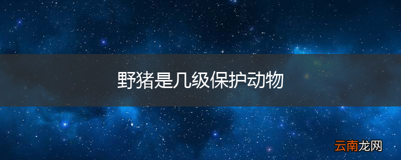 野猪是几级保护动物