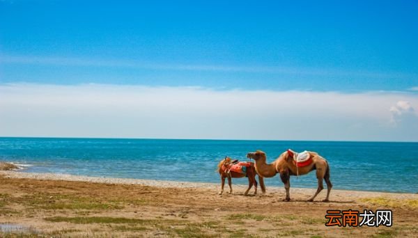 青海湖在哪里 青海湖在什么地方