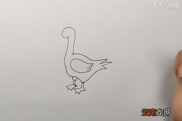 鸭简笔画