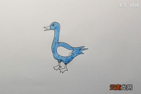 鸭简笔画