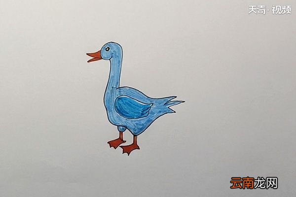 鸭简笔画