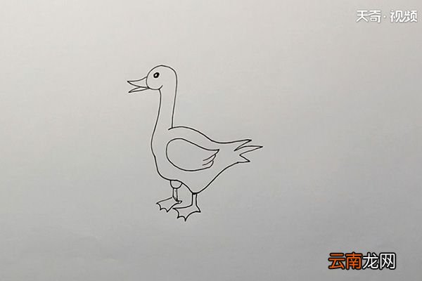 鸭简笔画