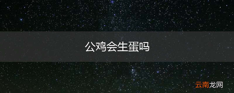 公鸡会生蛋吗