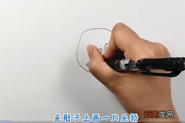 热带鱼简笔画