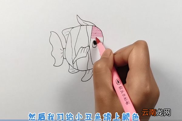 热带鱼简笔画