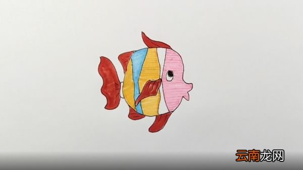 热带鱼简笔画