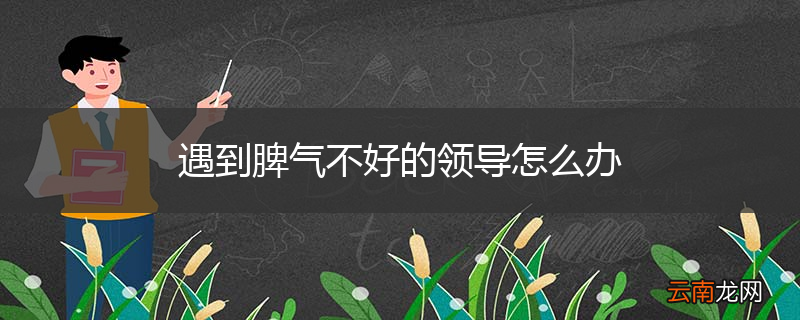 遇到脾气不好的领导怎么办