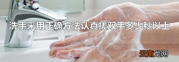 洗手采用正确方法认真搓双手多少秒以上