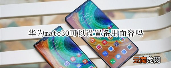 华为mate30可以设置备用面容吗