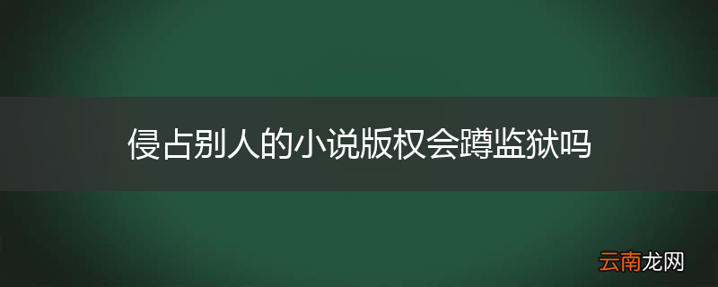 侵占别人的小说版权会蹲监狱吗