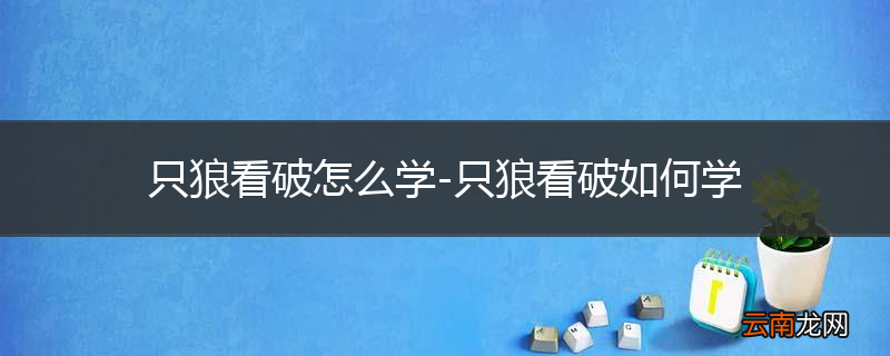 只狼看破怎么学-只狼看破如何学