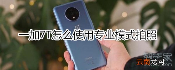 一加7T怎么使用专业模式拍照