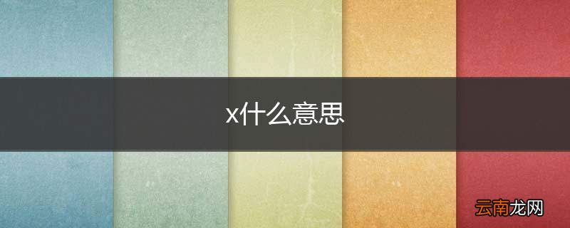 x什么意思