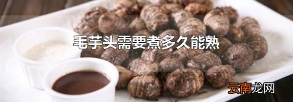 毛芋头需要煮多久能熟
