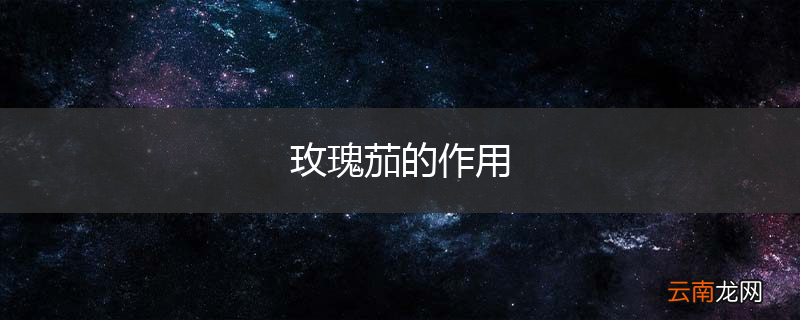 玫瑰茄的作用