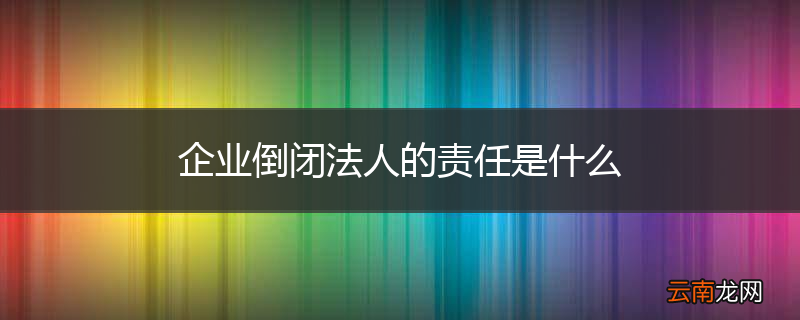 企业倒闭法人的责任是什么