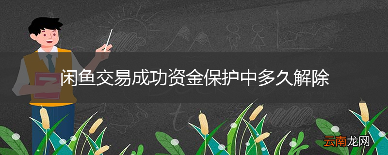 闲鱼交易成功资金保护中多久解除