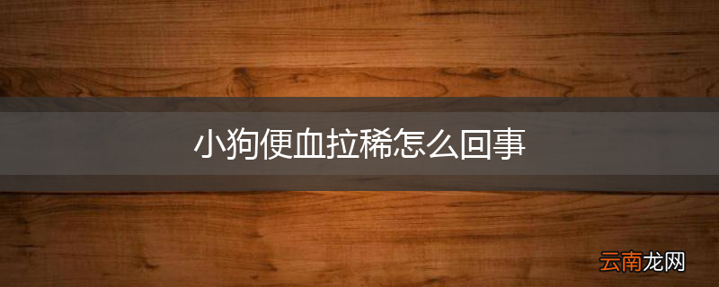 小狗便血拉稀怎么回事