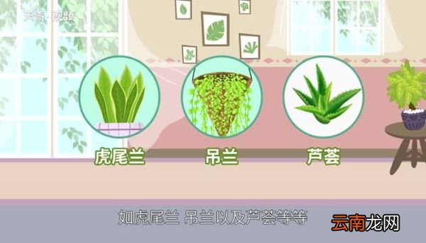 装修后多久可以入住新装修一个月能入住吗
