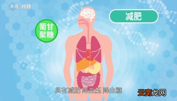 蒟蒻是什么 蒟蒻是什么味道