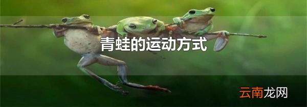 青蛙的运动方式