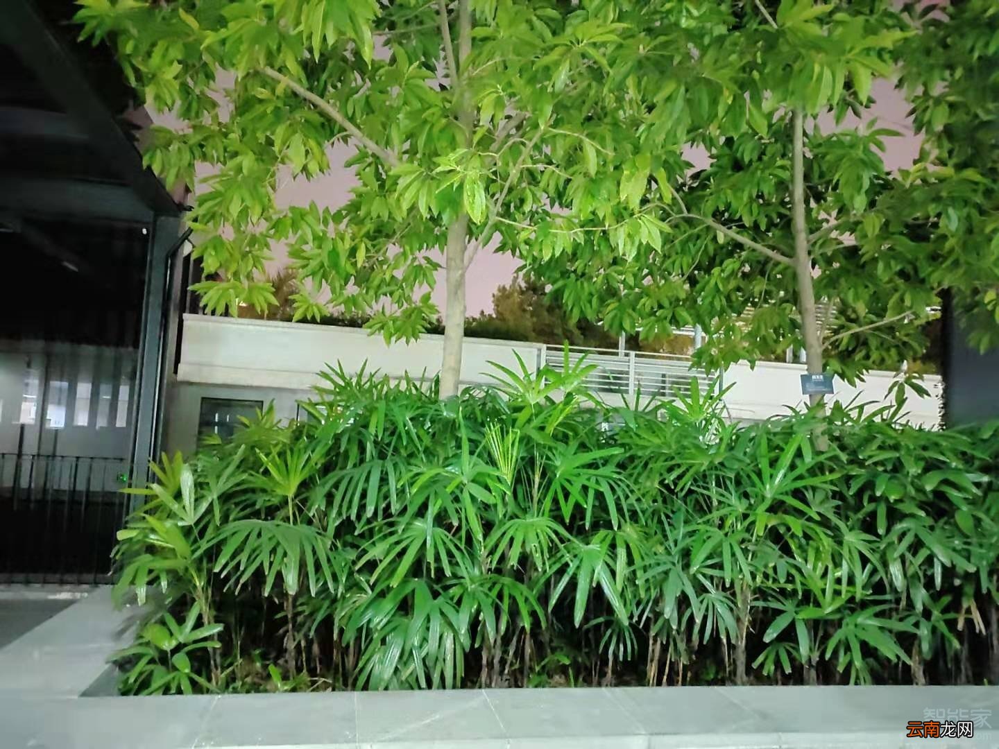 realmex2pro支持夜景模式吗