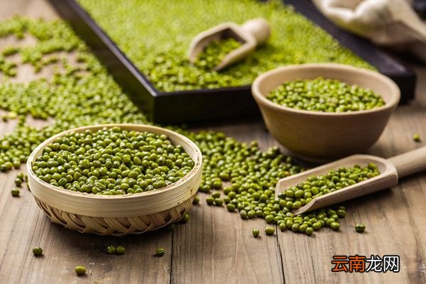 野绿豆图片与功效 野绿豆的功效与作用